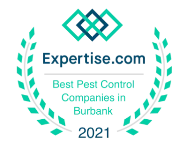 Expertise